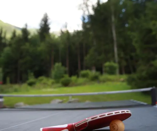 Large Chalet, Sleeps 12, 200m2, 5 Bedroom, 4 Bathroom, Garden, Jacuzzi, Sauna Chalet Chamonix